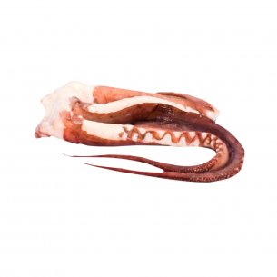 TENTACULOS DE LULA 2 A 3KG ZHOUSHAN CX20KG