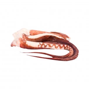 TENTACULOS DE LULA INTERF ZHOUSHAN 20KG