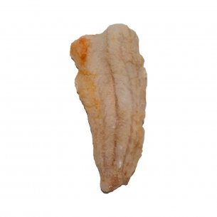 FILE DE ANCHOVA S/PELE NOVA PESCA CX 16KG