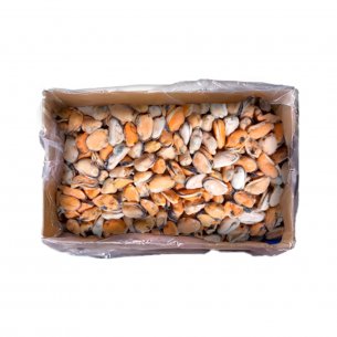 MEXILHAO COZ DESC CONG BLUE SHELL 9KG