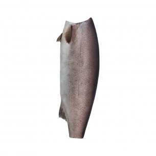 PEIXE EVISC S/CABECA ESCOLAR 6KG UP