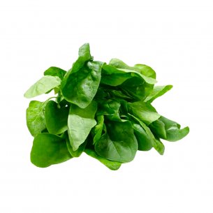 ESPINAFRE PORCOES FOLHAS GARDEN FRESH 4X2,5KG