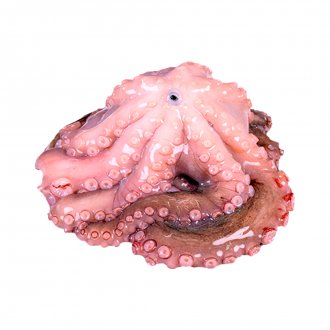 POLVO CONG EVISC 1/2 LUDRIMAR +-23KG