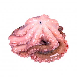 POLVO CONG EVISC 1/2 LUDRIMAR +-23KG