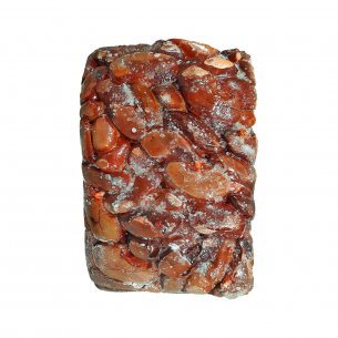 RINS SUINO CONG SEARA