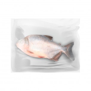 TAMBAQUI EVISC INT CONG 20KG +/-3KG