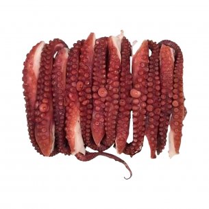 TENTACULOS DE POLVO EL SHADDAY +-10KG