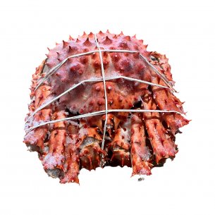 CENTOLHA COZIDA INT CONG FORTE +-10KG