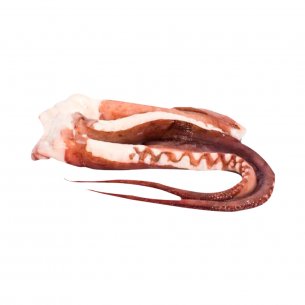 TENTACULOS DE LULA 1 A 2KG ZHOUSHAN CX20KG