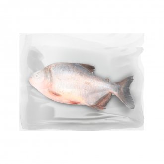 TAMBAQUI EVISC INT CONG 20KG +/-3KG