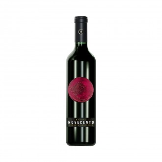 VINHO ARG NOVECENTO MALBEC 750ML