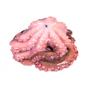 POLVO CONG EVISC 1/2 LUDRIMAR +-23KG