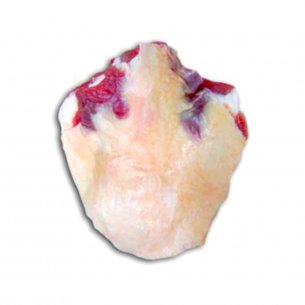 ROTULA DO PATINHO CONG CRUZEIRO SUL +-24KG