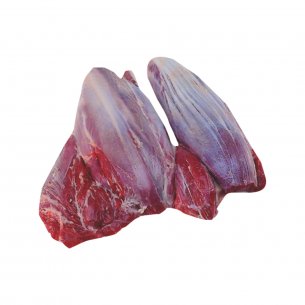 MUSCULO DURO BOV CONG RAMAX +-22KG