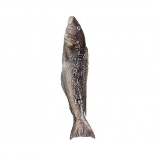 NAMORADO INTEIRO CONG 1/2KG ARDAPEZ +-27KG