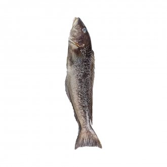 NAMORADO INTEIRO CONG 1/2KG ARDAPEZ +-27KG