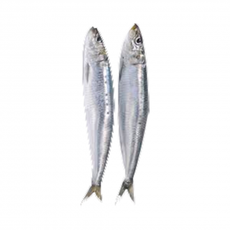 SARDINHA EVISC CONG LAJE 15KG