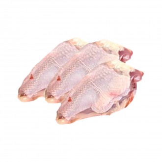 DORSO DE FRANGO CONG MAIS FRANGO 15KG