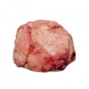 MOLLEJA BOV CONG FRIG DO SUL +-10KG