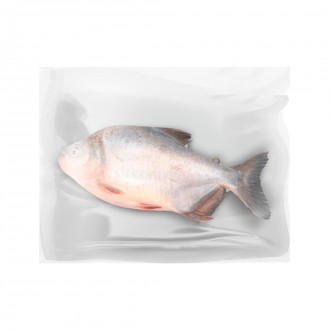 TAMBAQUI EVISC INT CONG 20KG +/-3KG
