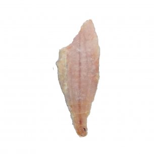 FILE DE GUAIVIRA ESTRELA DO MAR 2X6,5KG