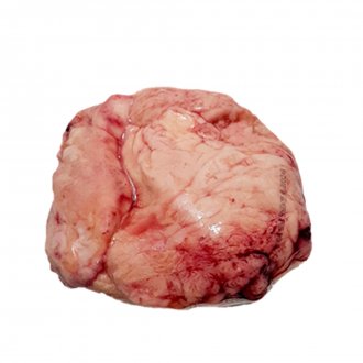 MOLLEJA BOV CONG COMESUL +-15KG