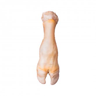MOCOTO BOV CONG INTEIRO FRIGORACA SACO+-25KG