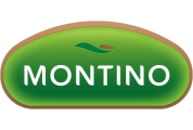 Montino